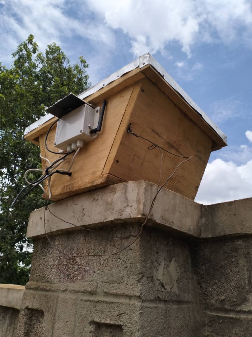 How Sustainable Practices  Benefit Bee Health