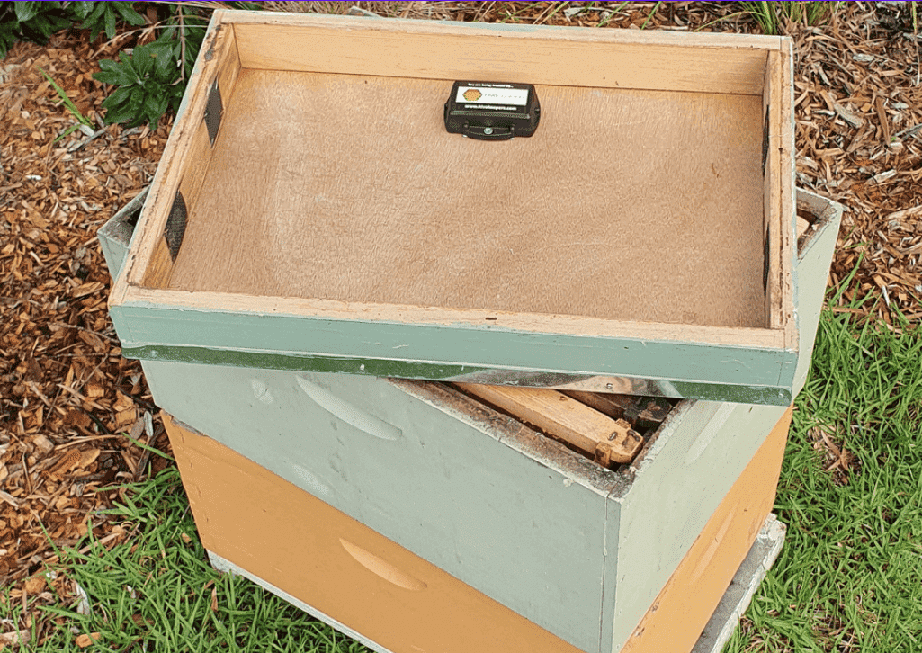 Harnessing Technology to Support Bee Colonies